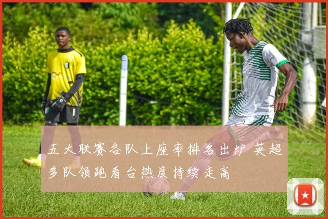 五大联赛各队上座率排名出炉 英超多队领跑看台热度持续走高