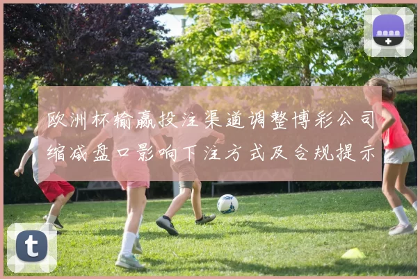 欧洲杯输赢投注渠道调整博彩公司缩减盘口影响下注方式及合规提示