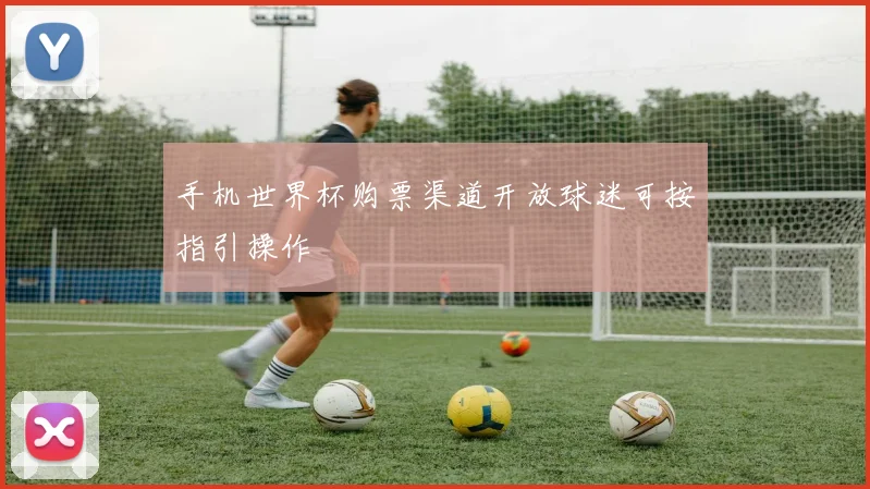 手机世界杯购票渠道开放球迷可按指引操作