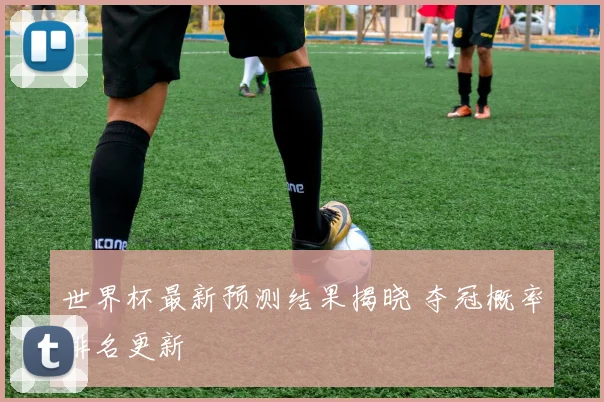 世界杯最新预测结果揭晓 夺冠概率排名更新
