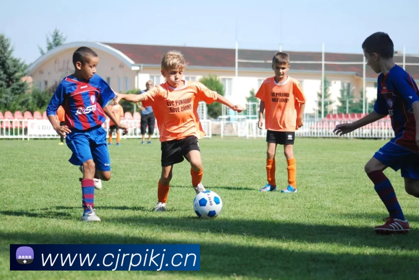 世界杯在线无插件直播平台生态图